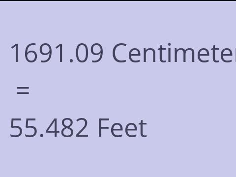 1691.09 CM TO FEET