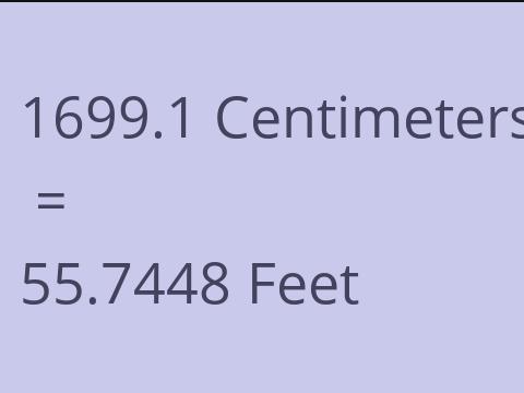 1699.1 CM TO FEET