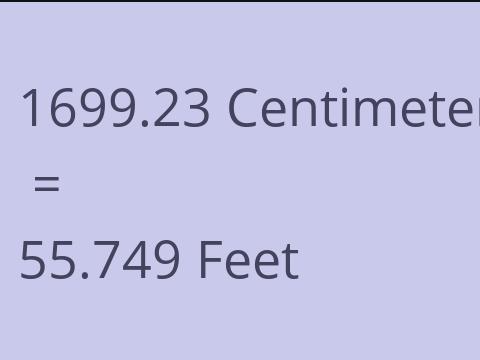 1699.23 CM TO FEET