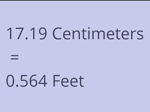 17.19 CM TO FEET