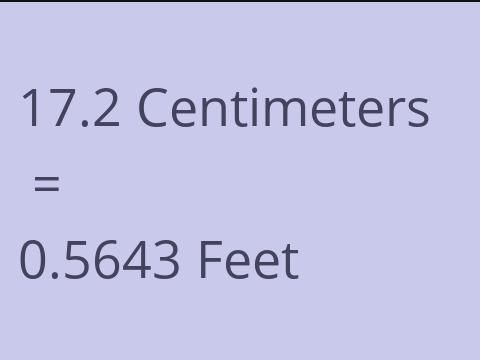 17.2 CM TO FEET