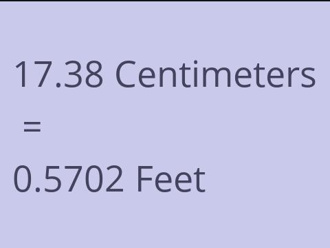 17.38 CM TO FEET