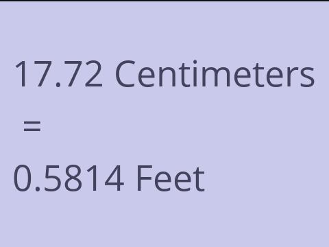 17.72 CM TO FEET