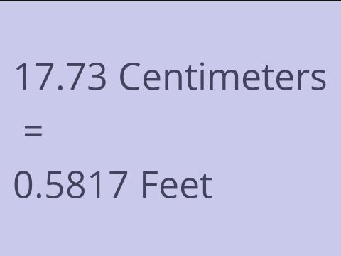 17.73 CM TO FEET