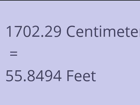 1702.29 CM TO FEET