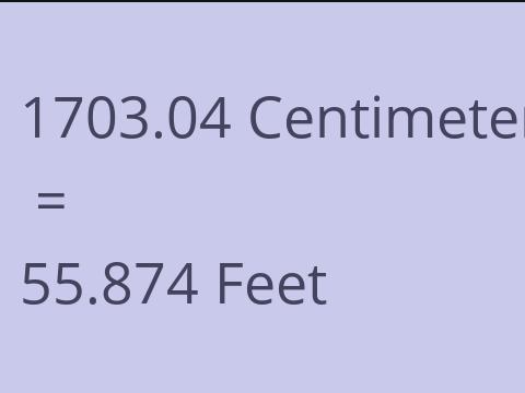 1703.04 CM TO FEET