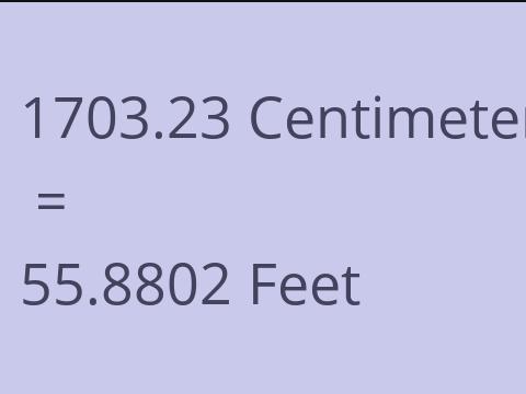 1703.23 CM TO FEET