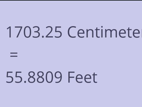 1703.25 CM TO FEET