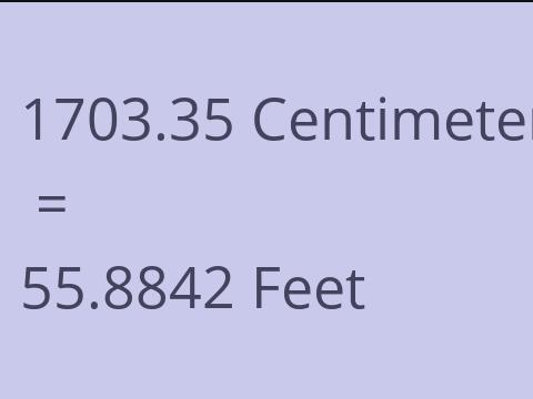 1703.35 CM TO FEET