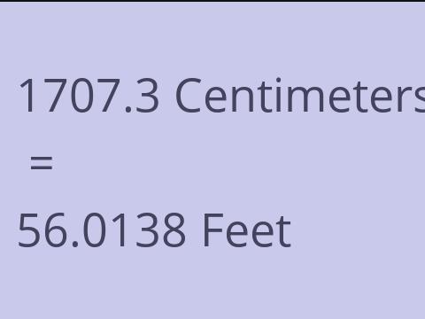 1707.3 CM TO FEET