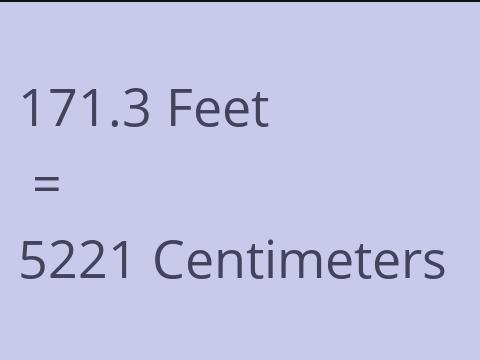 171.3 FEET TO CM