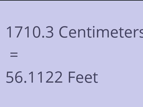 1710.3 CM TO FEET