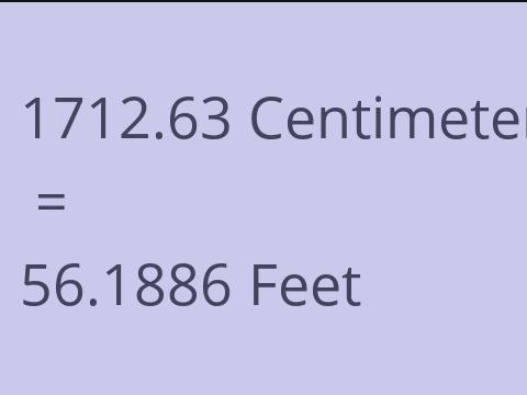 1712.63 CM TO FEET