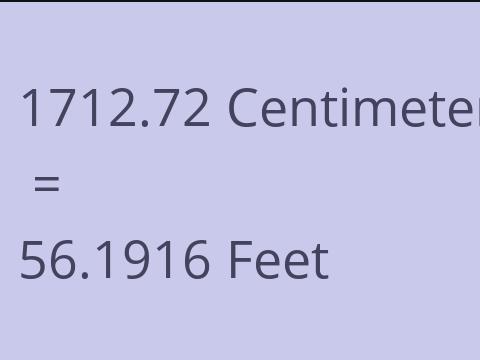 1712.72 CM TO FEET