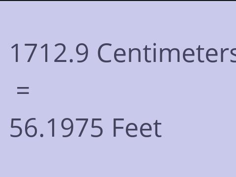 1712.9 CM TO FEET