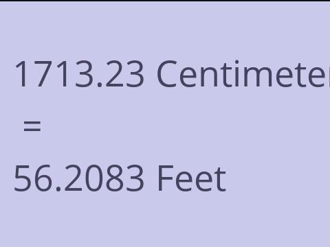 1713.23 CM TO FEET