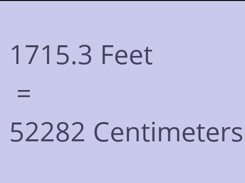 1715.3 FEET TO CM