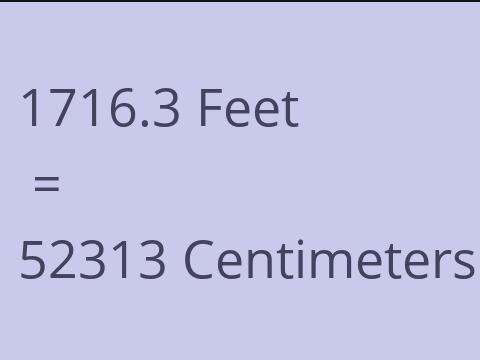 1716.3 FEET TO CM