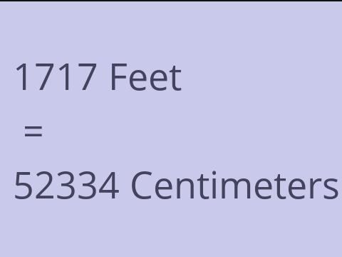 1717 FEET TO CM