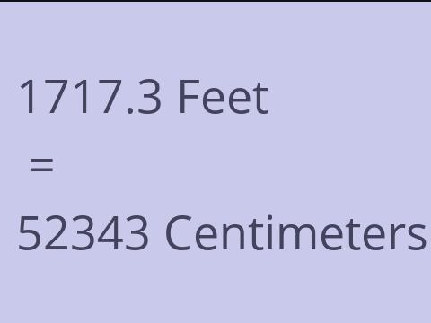 1717.3 FEET TO CM