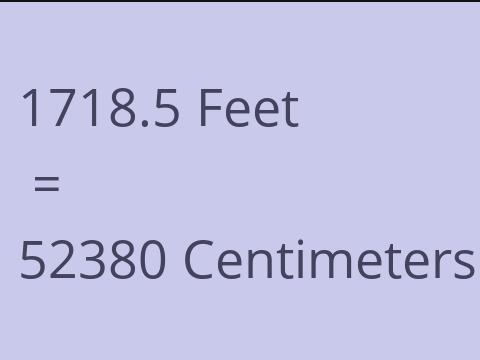 1718.5 FEET TO CM