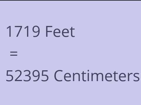 1719 FEET TO CM