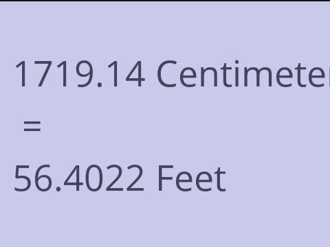 1719.14 CM TO FEET