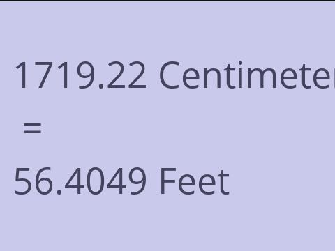 1719.22 CM TO FEET