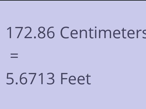 172.86 CM TO FEET