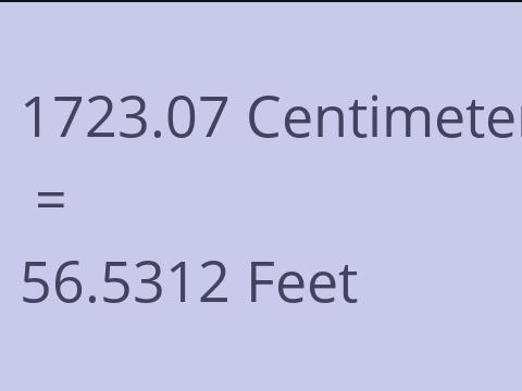 1723.07 CM TO FEET