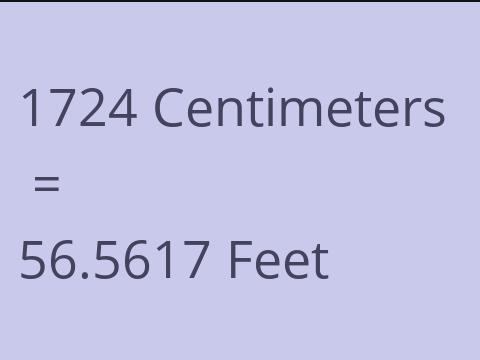 1724 CM TO FEET