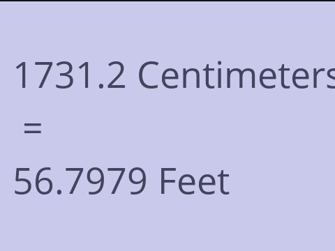 1731.2 CM TO FEET