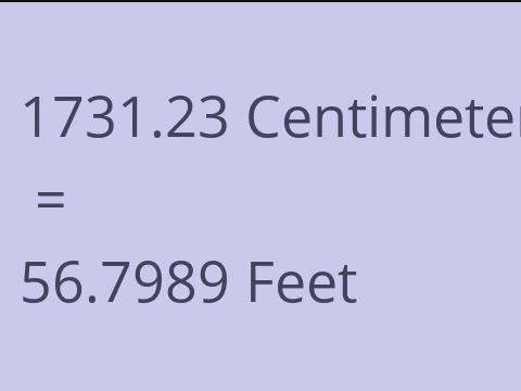 1731.23 CM TO FEET