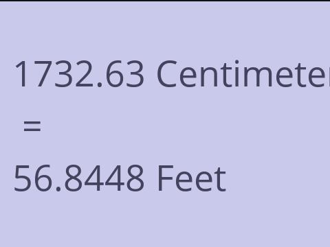 1732.63 CM TO FEET