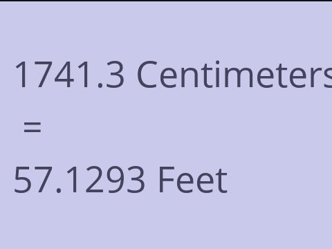 1741.3 CM TO FEET