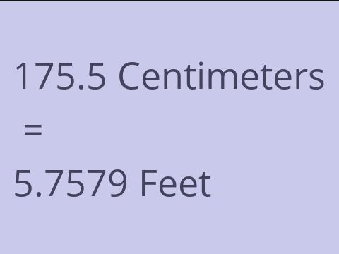 175.5 CM TO FEET