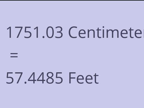 1751.03 CM TO FEET