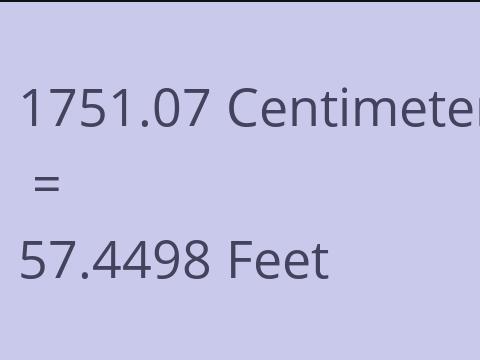 1751.07 CM TO FEET