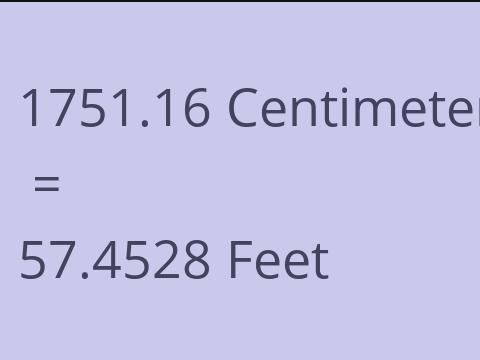 1751.16 CM TO FEET