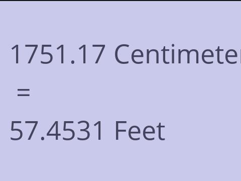 1751.17 CM TO FEET