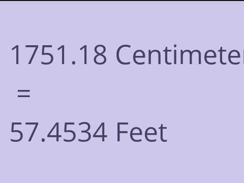 1751.18 CM TO FEET