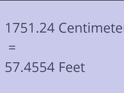 1751.24 CM TO FEET