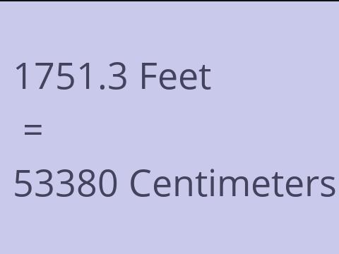 1751.3 FEET TO CM