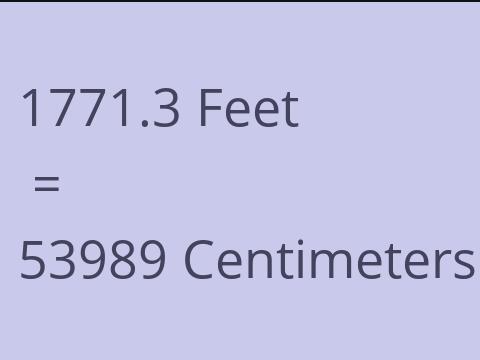 1771.3 FEET TO CM