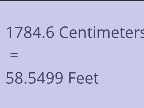 1784.6 CM TO FEET