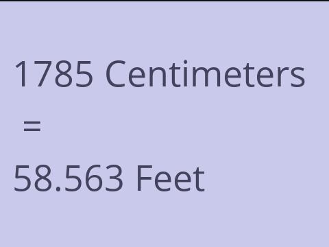 1785 CM TO FEET