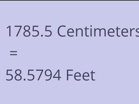 1785.5 CM TO FEET