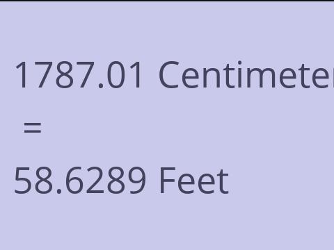 1787.01 CM TO FEET