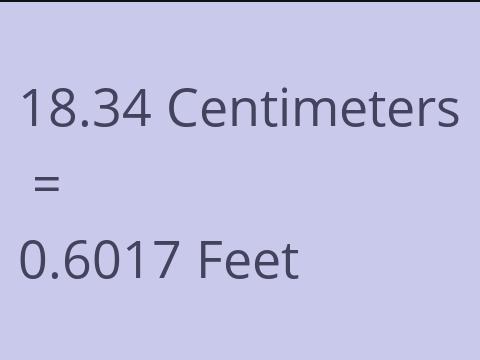 18.34 CM TO FEET