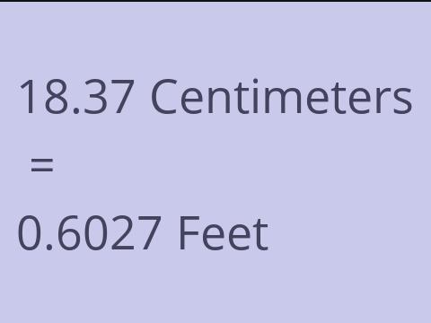 18.37 CM TO FEET